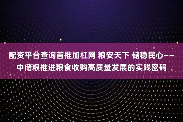 配资平台查询首推加杠网 粮安天下 储稳民心——中储粮推进粮食收购高质量发展的实践密码